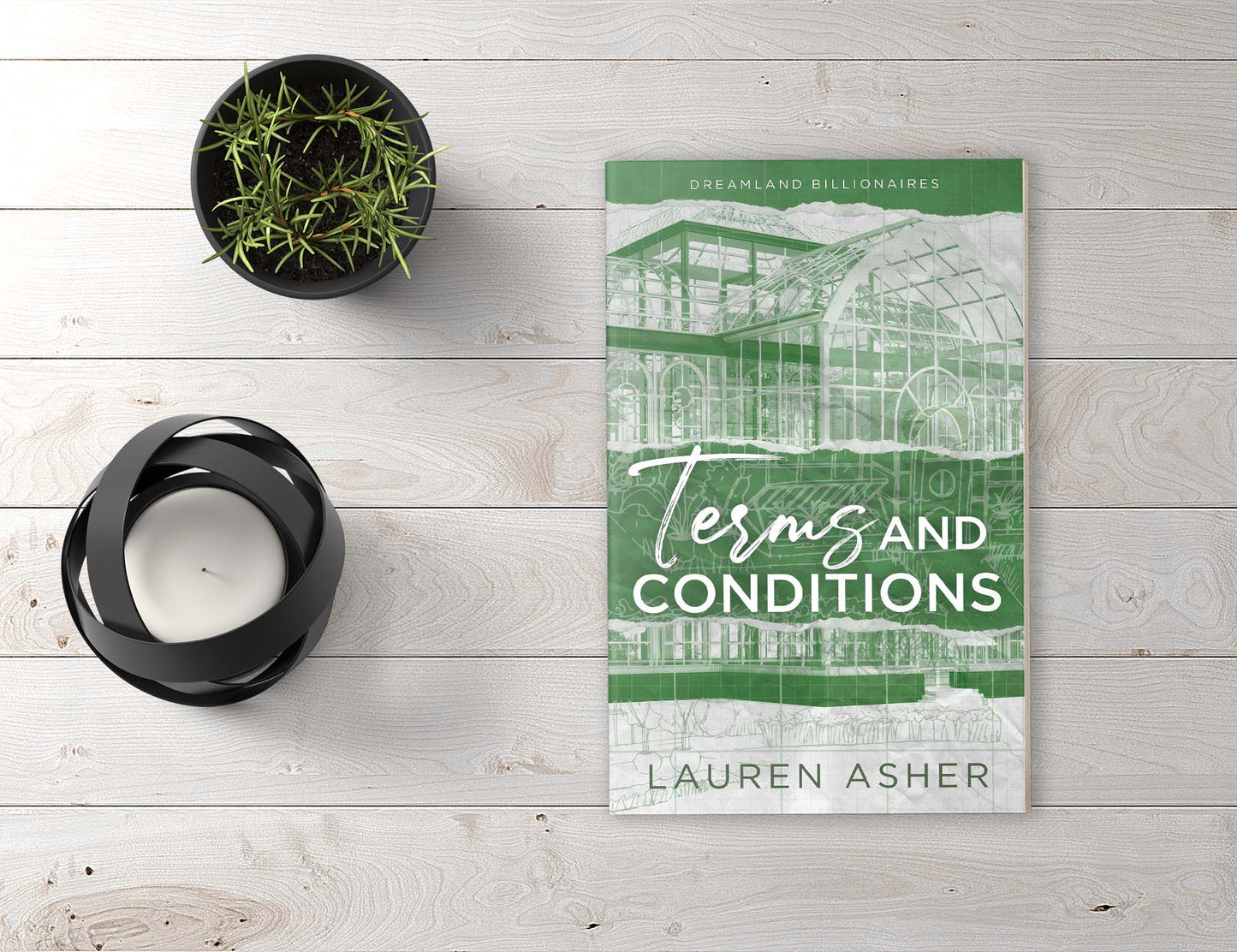 Terms and Conditions (Dreamland Billionaires, 2) by Lauren Asher